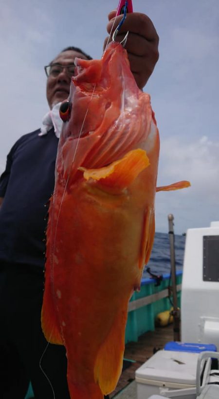 伊豆下田フィッシング 釣果