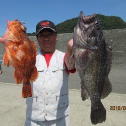 大進丸(新潟) 釣果