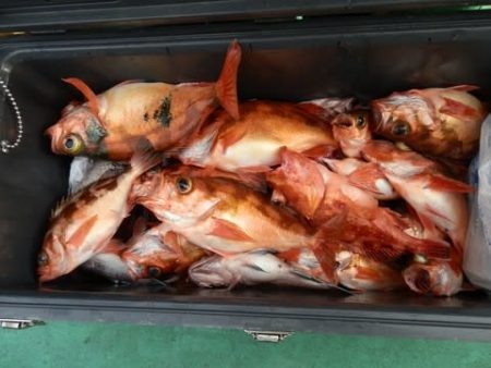 第二むつ漁丸 釣果