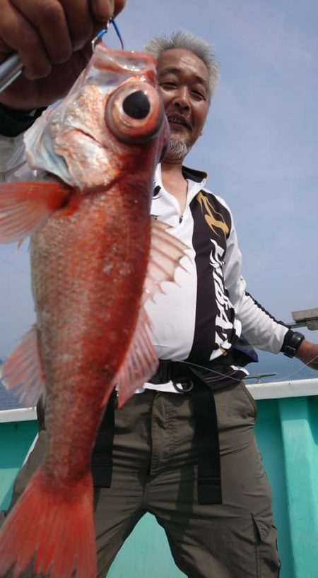 伊豆下田フィッシング 釣果