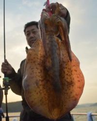 Fisherman Dreams DI 釣果