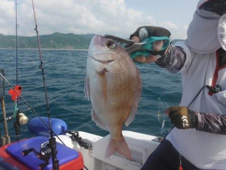 開進丸 釣果