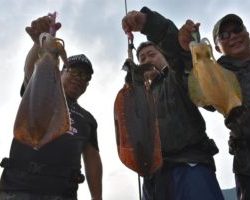 Fisherman Dreams DI 釣果