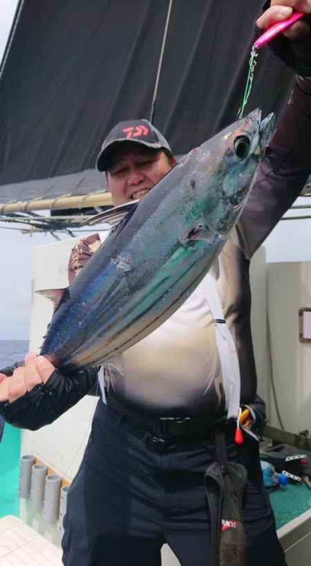 伊豆下田フィッシング 釣果