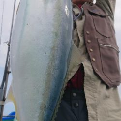 伊豆下田フィッシング 釣果