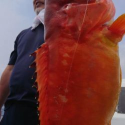 伊豆下田フィッシング 釣果