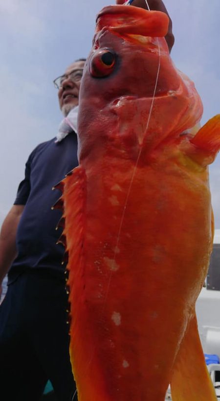 伊豆下田フィッシング 釣果