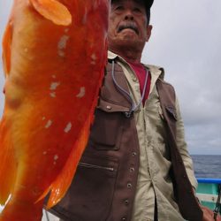 伊豆下田フィッシング 釣果