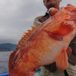 伊豆下田フィッシング 釣果