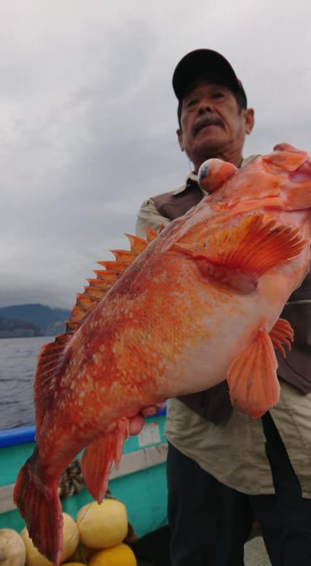 伊豆下田フィッシング 釣果