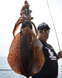 Fisherman Dreams DI 釣果