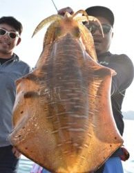 Fisherman Dreams DI 釣果