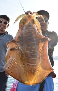 Fisherman Dreams DI 釣果