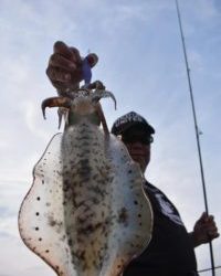 Fisherman Dreams DI 釣果