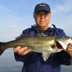 釣日和 釣果