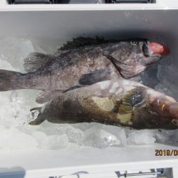 大進丸(新潟) 釣果