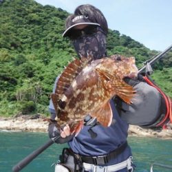 開進丸 釣果