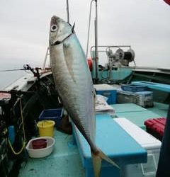 松福丸 釣果