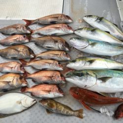 ミタチ丸 釣果