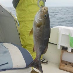 開進丸 釣果