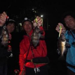 シーマジカル 釣果