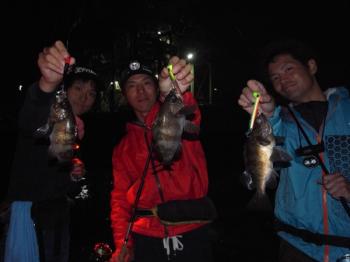 シーマジカル 釣果