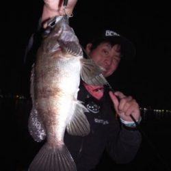 シーマジカル 釣果