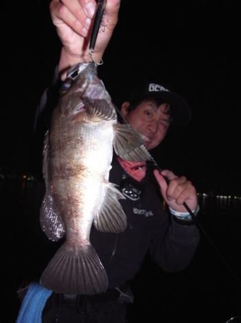 シーマジカル 釣果