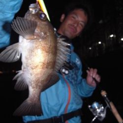 シーマジカル 釣果