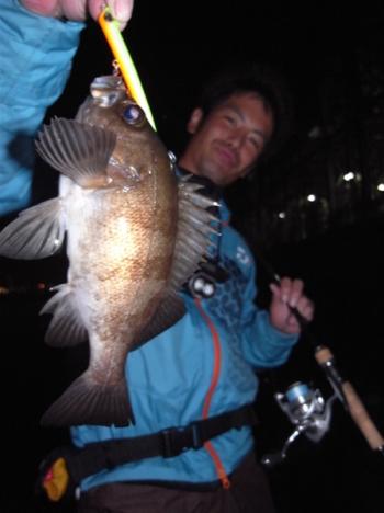 シーマジカル 釣果