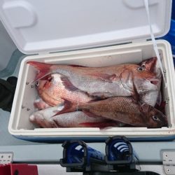 遊漁船ブルーウッズ 釣果