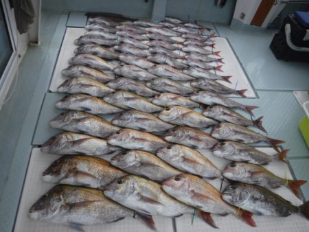 遊漁船 幸友丸 釣果