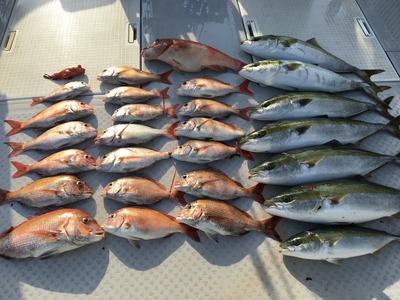 ミタチ丸 釣果