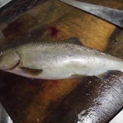 高萩ふれあいの里フィッシングエリア 釣果