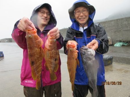 大進丸(新潟) 釣果