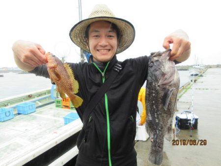 大進丸(新潟) 釣果