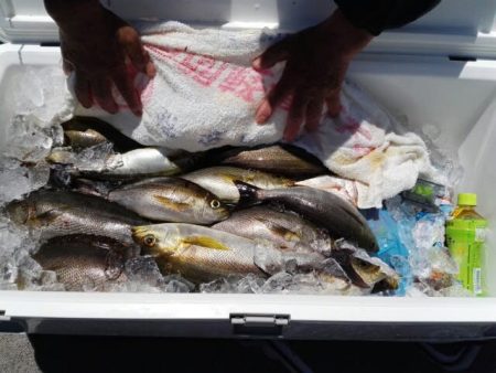 第二大福丸 釣果