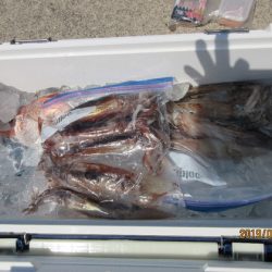 大進丸(新潟) 釣果