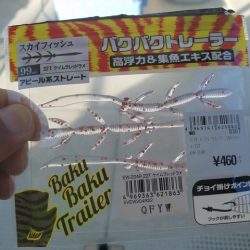 遊漁船 ニライカナイ 釣果