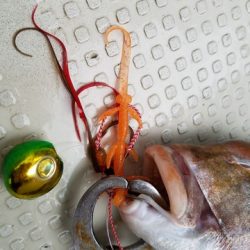 遊漁船　ニライカナイ 釣果