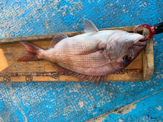 幸吉丸 釣果