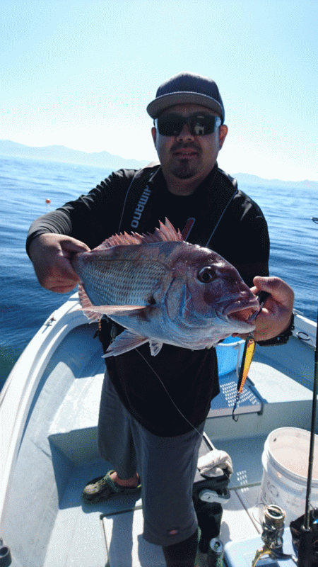 遊漁船ブルーウッズ 釣果