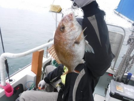 遊漁船 幸友丸 釣果
