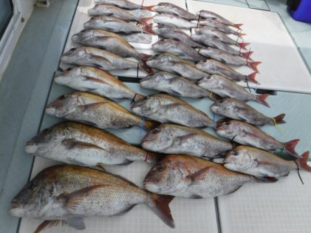 遊漁船 幸友丸 釣果