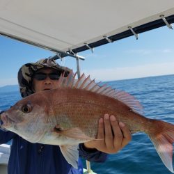 遊漁船 ニライカナイ 釣果