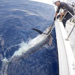 TOPGUN名古屋 釣果