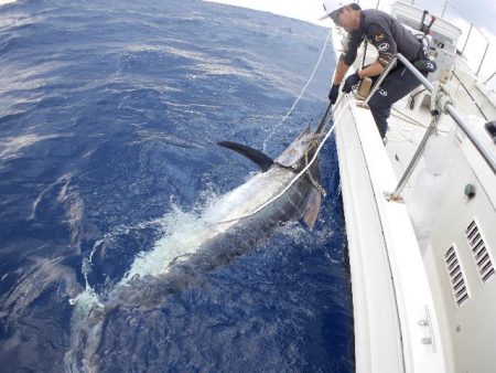 TOPGUN名古屋 釣果