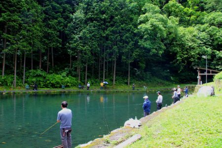 小菅トラウトガーデン 釣果