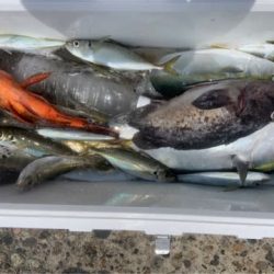 宝昌丸 釣果