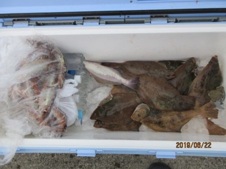 大進丸（新潟） 釣果